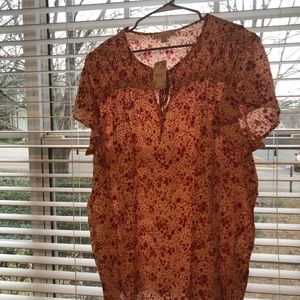 Suzanne Betro Weekend 3X